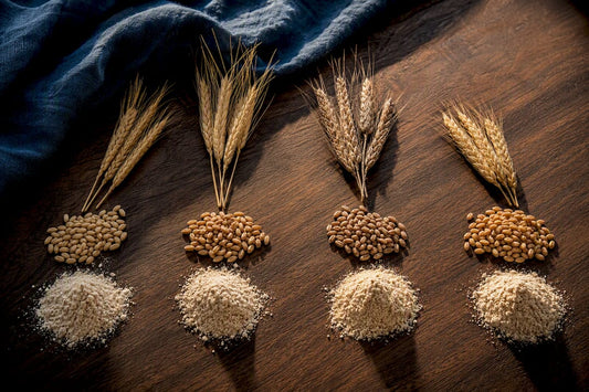 Four ancient wheat varieties and milled flour