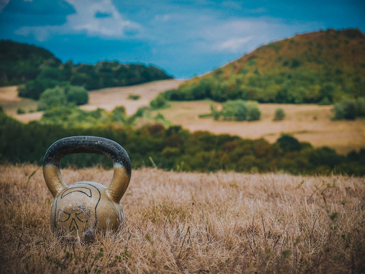 The Hidden Cost of “Modern” Grains — And Why Ancient Grains Belong Back on Your Table