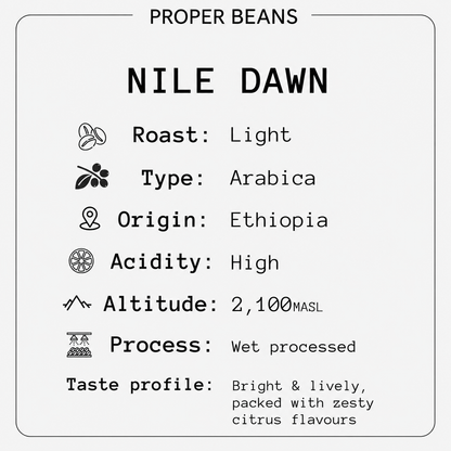 Nile Dawn