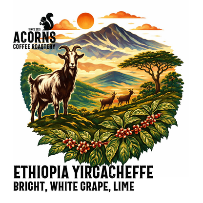 Ethiopian Yirgacheffe Medium Roast