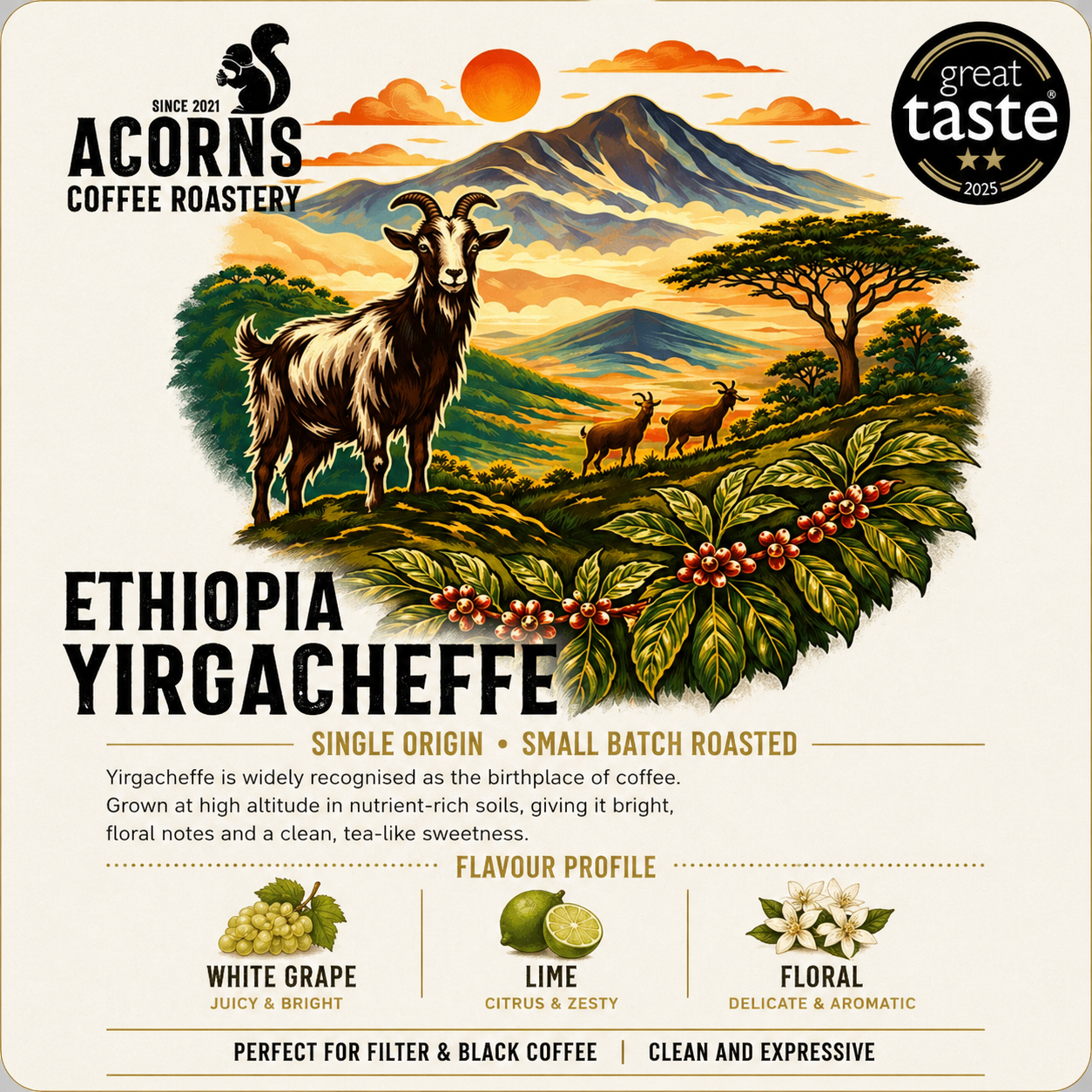 Ethiopia Yirgacheffe