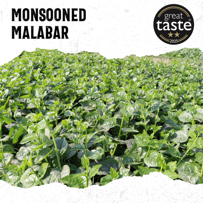 Monsooned Malabar