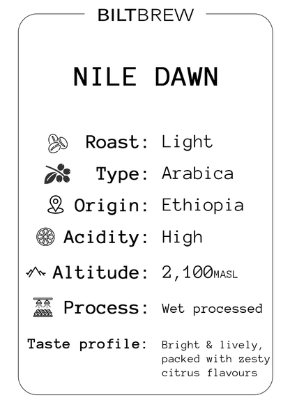 Nile Dawn
