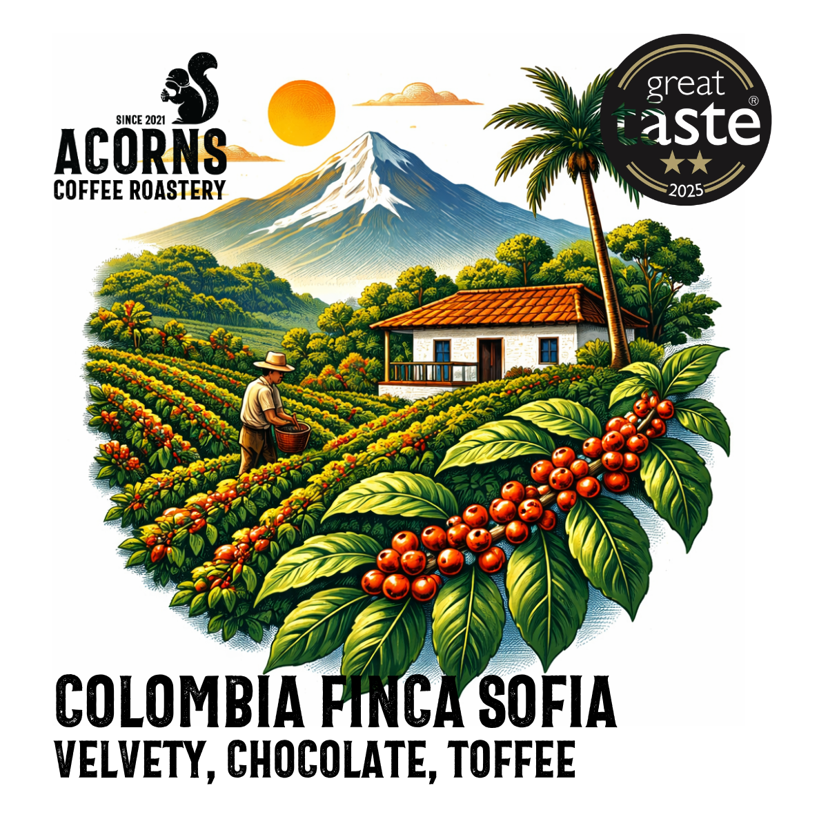 Colombia Finca Sofia