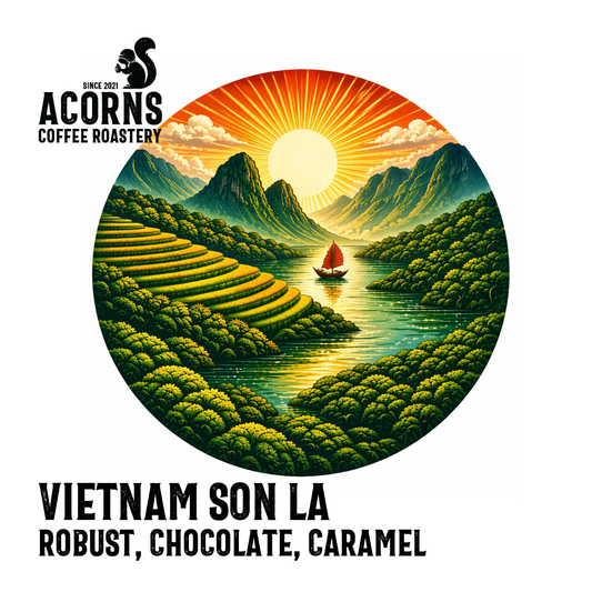 Vietnam Son La Medium Roast