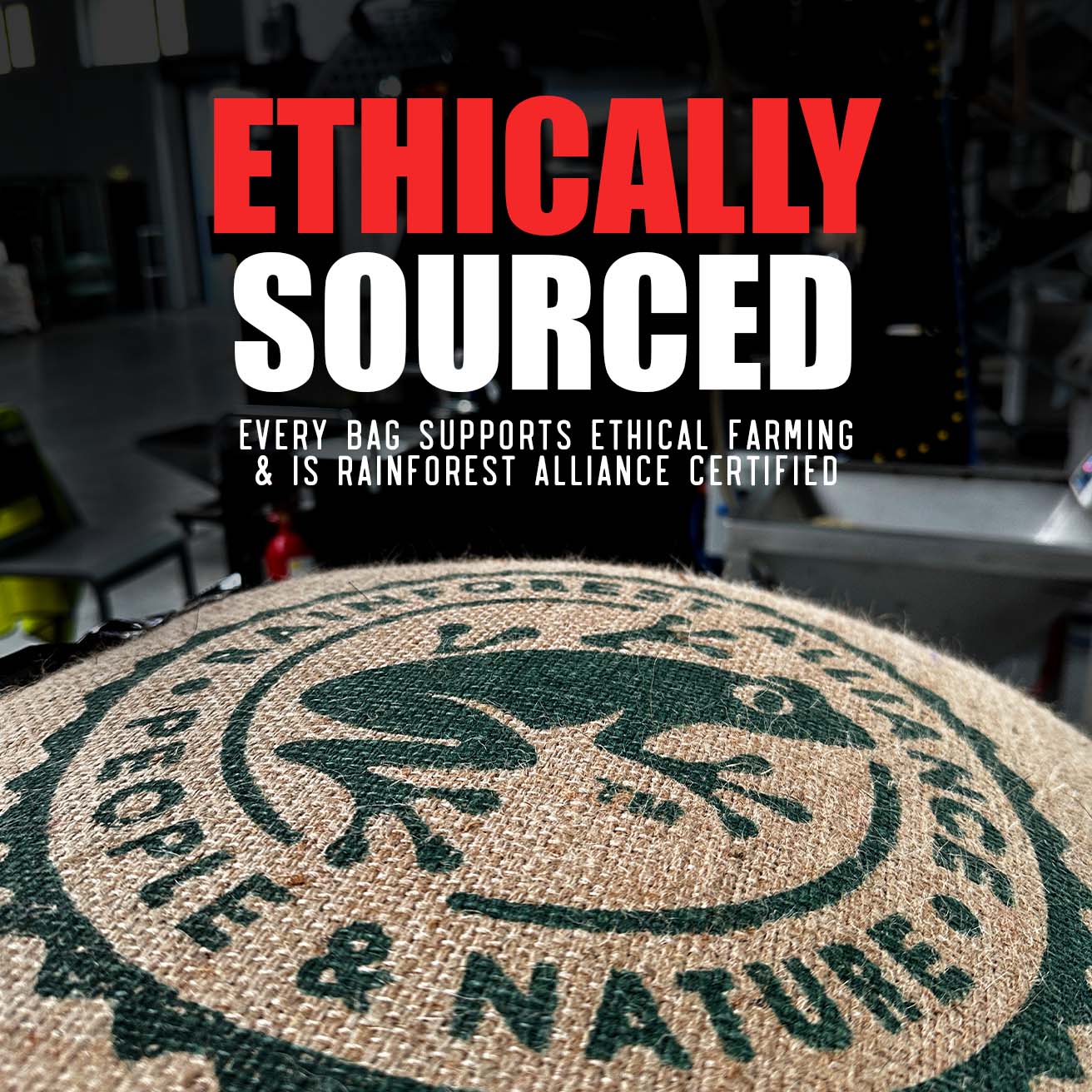 Skull Crusher Coffee - Chocolate Hazelnut