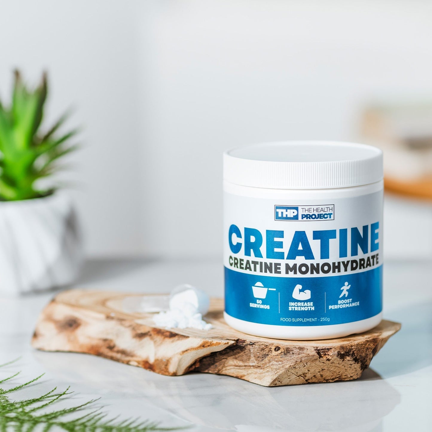 The Health Project Creatine Powder 250g