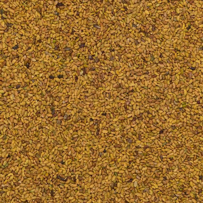 Organic Alfalfa Seeds