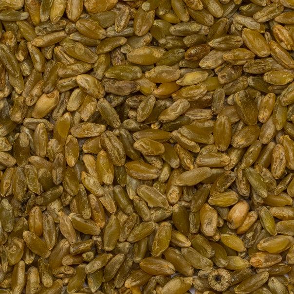 Organic Freekeh Wholegrain