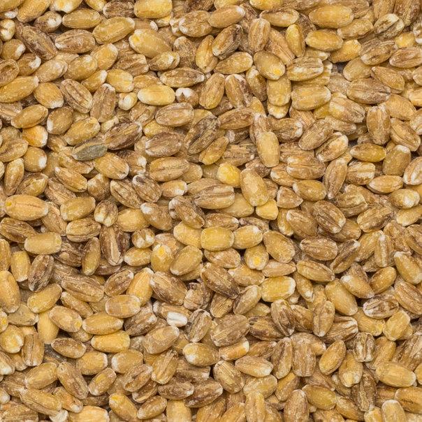 Organic Dried Pearl Barley
